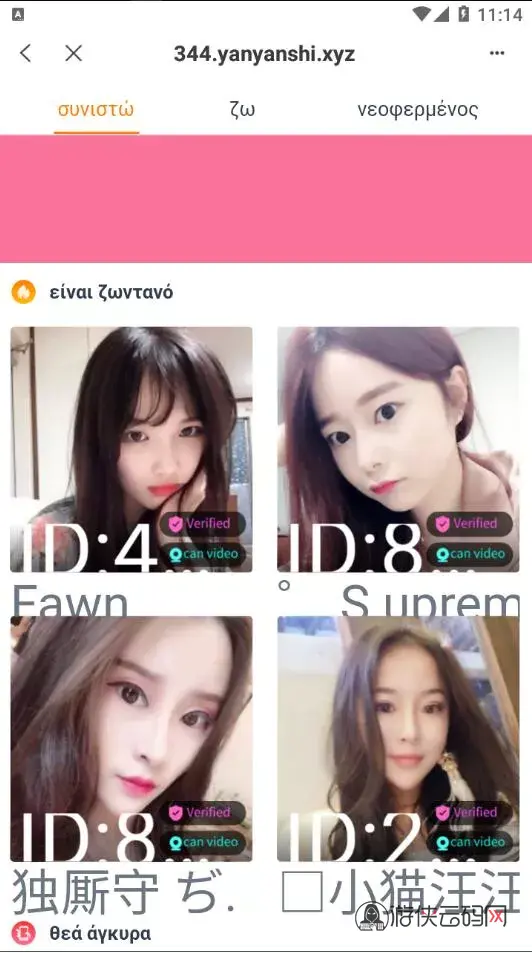 【全新4链盗U系统】usdt授权秒U源码+usdt钱包盗U源码